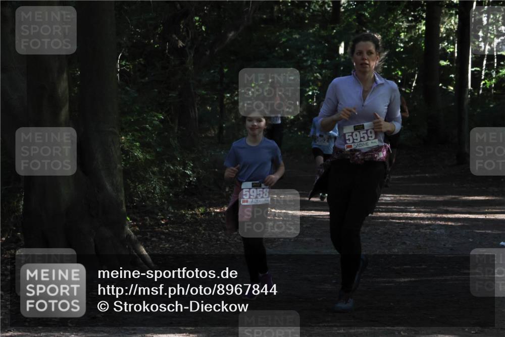28.09.2025 - 33. Volkslauf durch das schöne Alstertal Strokosch-Dieckow http://msf.ph/oto/8967844 28.09.2025 10:45:12 Laufen 5958, 5959 meine-sportfotos.de
