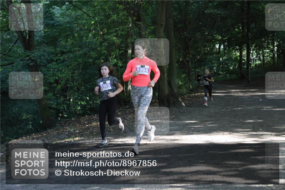 28.09.2025 - 33. Volkslauf durch das schöne Alstertal Strokosch-Dieckow http://msf.ph/oto/8967856 28.09.2025 10:45:31 Laufen 5965, 5964 meine-sportfotos.de