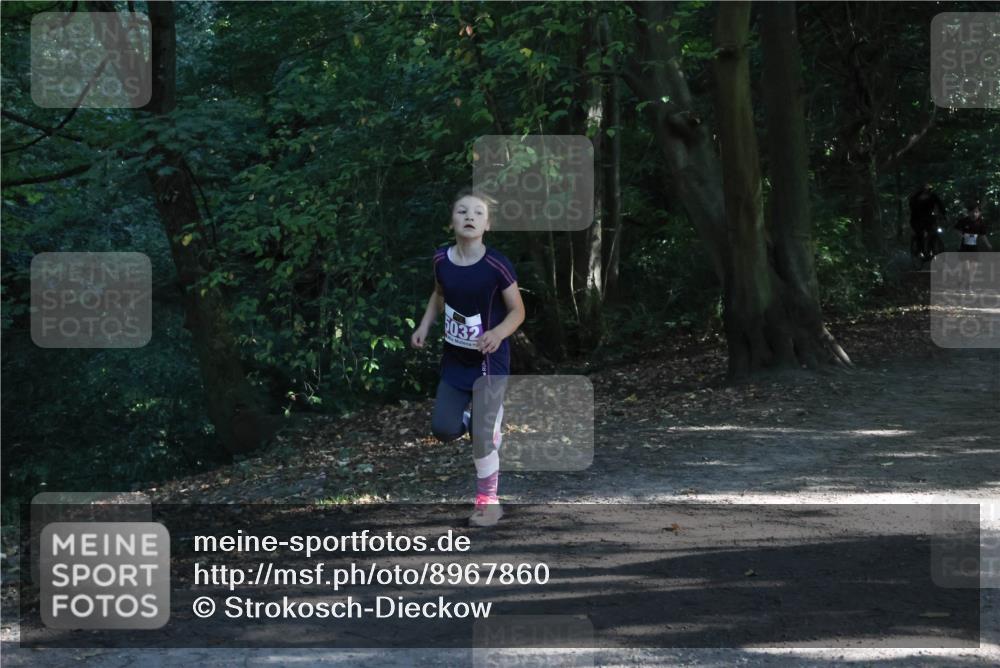 28.09.2025 - 33. Volkslauf durch das schöne Alstertal Strokosch-Dieckow http://msf.ph/oto/8967860 28.09.2025 10:45:34 Laufen 5032 meine-sportfotos.de