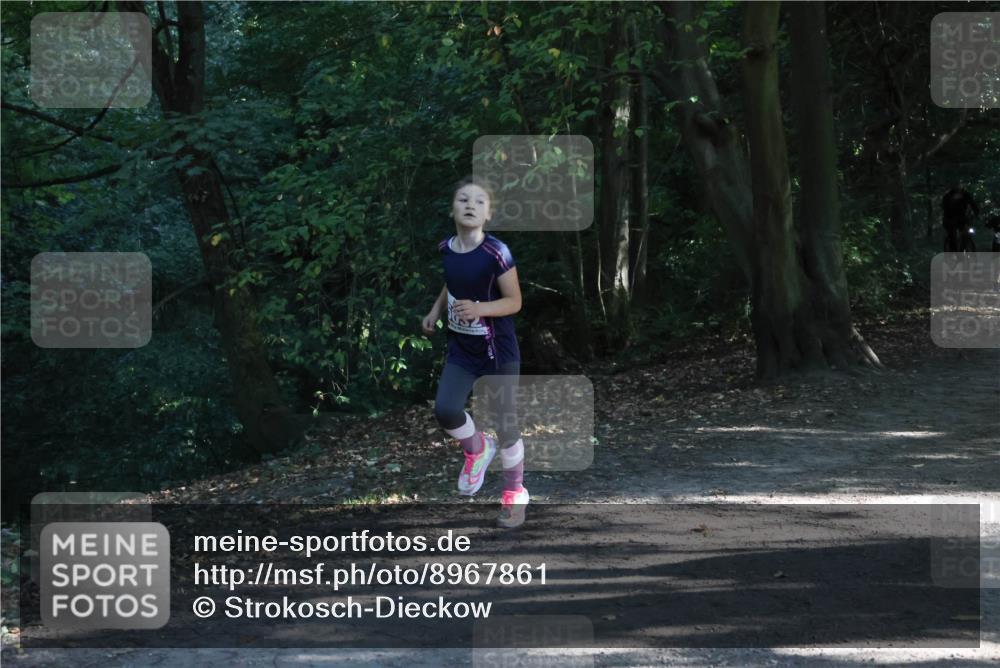28.09.2025 - 33. Volkslauf durch das schöne Alstertal Strokosch-Dieckow http://msf.ph/oto/8967861 28.09.2025 10:45:34 Laufen  meine-sportfotos.de
