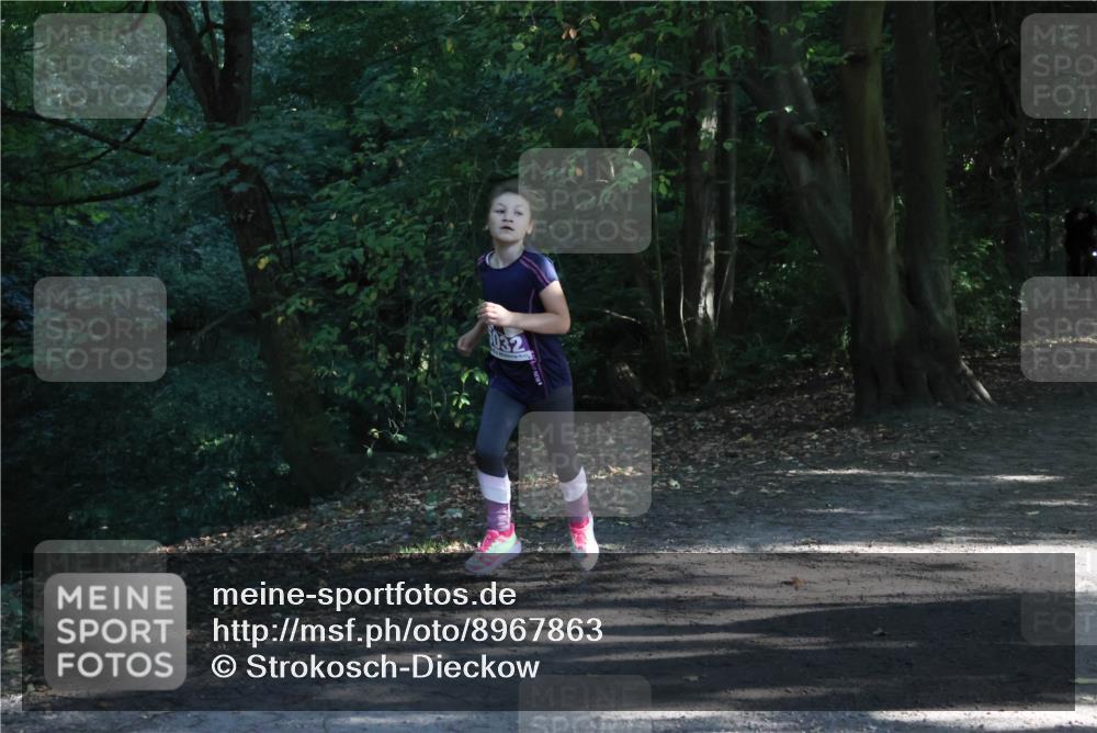 28.09.2025 - 33. Volkslauf durch das schöne Alstertal Strokosch-Dieckow http://msf.ph/oto/8967863 28.09.2025 10:45:34 Laufen  meine-sportfotos.de