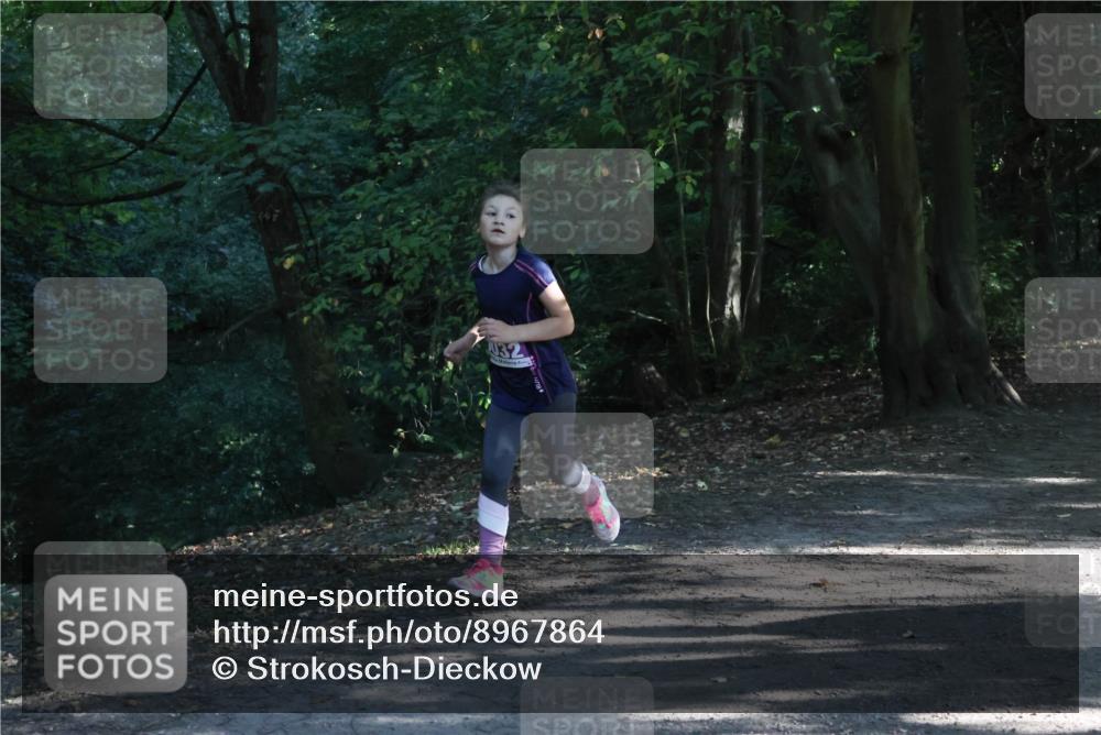 28.09.2025 - 33. Volkslauf durch das schöne Alstertal Strokosch-Dieckow http://msf.ph/oto/8967864 28.09.2025 10:45:34 Laufen  meine-sportfotos.de