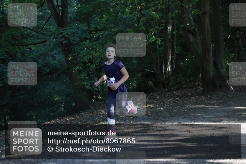 28.09.2025 - 33. Volkslauf durch das schöne Alstertal Strokosch-Dieckow http://msf.ph/oto/8967865 28.09.2025 10:45:34 Laufen  meine-sportfotos.de