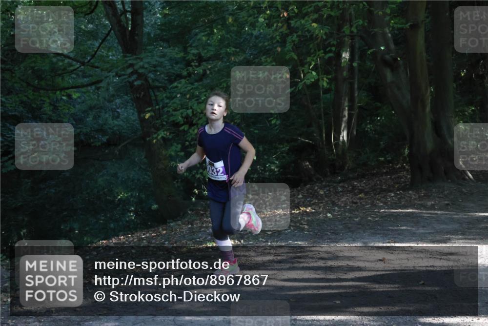 28.09.2025 - 33. Volkslauf durch das schöne Alstertal Strokosch-Dieckow http://msf.ph/oto/8967867 28.09.2025 10:45:34 Laufen 032 meine-sportfotos.de