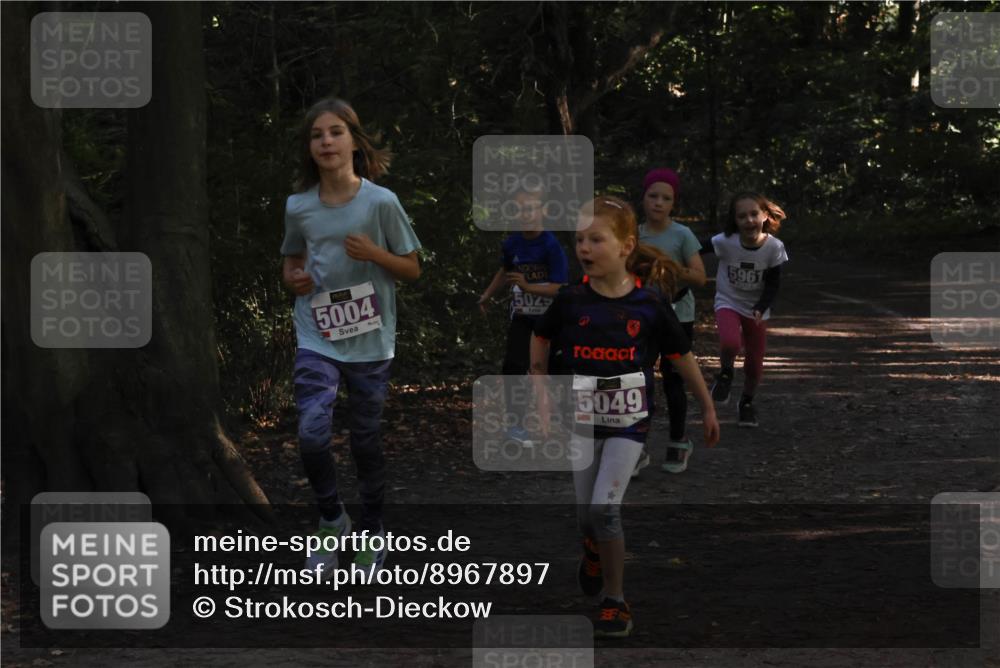 28.09.2025 - 33. Volkslauf durch das schöne Alstertal Strokosch-Dieckow http://msf.ph/oto/8967897 28.09.2025 10:46:09 Laufen 5004, 50, 5049, 5961 meine-sportfotos.de