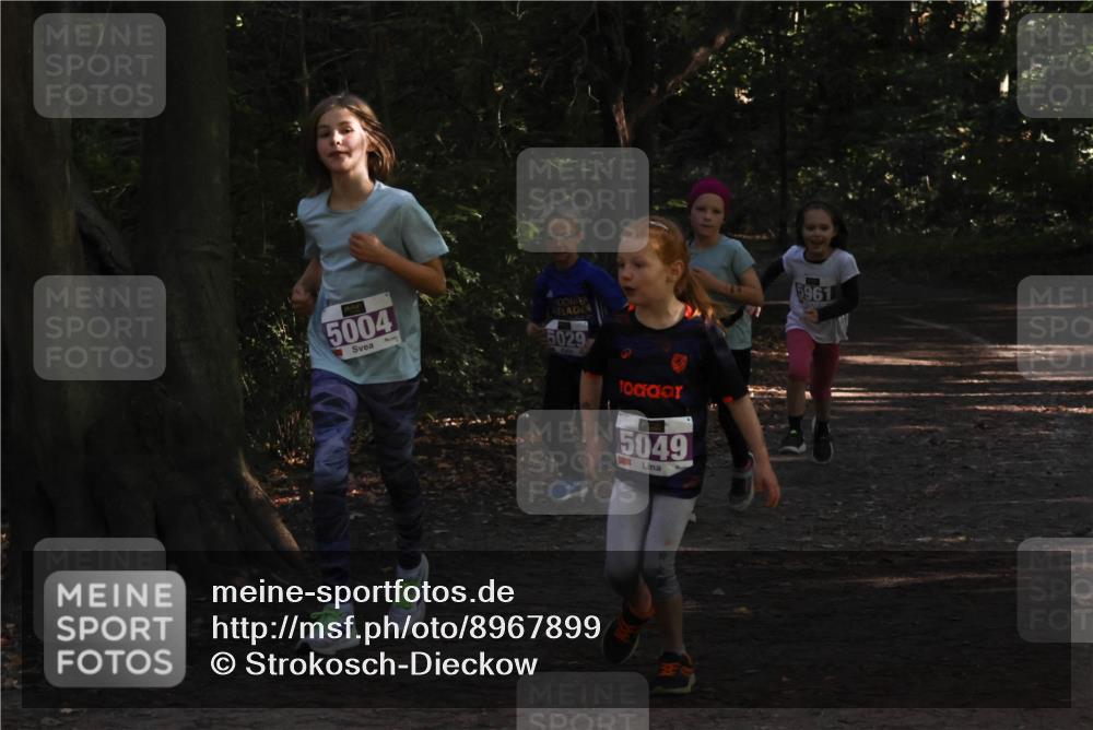 28.09.2025 - 33. Volkslauf durch das schöne Alstertal Strokosch-Dieckow http://msf.ph/oto/8967899 28.09.2025 10:46:10 Laufen 5004, 5029, 5049, 5961 meine-sportfotos.de