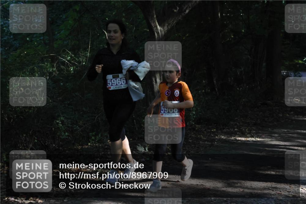 28.09.2025 - 33. Volkslauf durch das schöne Alstertal Strokosch-Dieckow http://msf.ph/oto/8967909 28.09.2025 10:47:05 Laufen 5966, 5900 meine-sportfotos.de