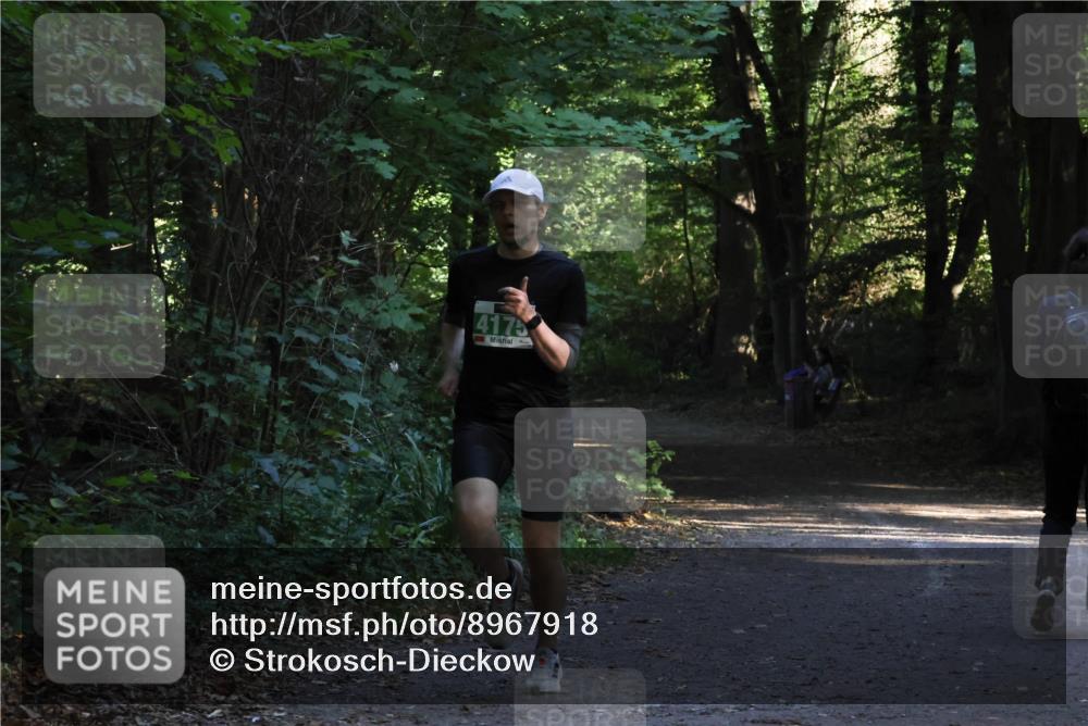 28.09.2025 - 33. Volkslauf durch das schöne Alstertal Strokosch-Dieckow http://msf.ph/oto/8967918 28.09.2025 10:48:31 Laufen 4175 meine-sportfotos.de