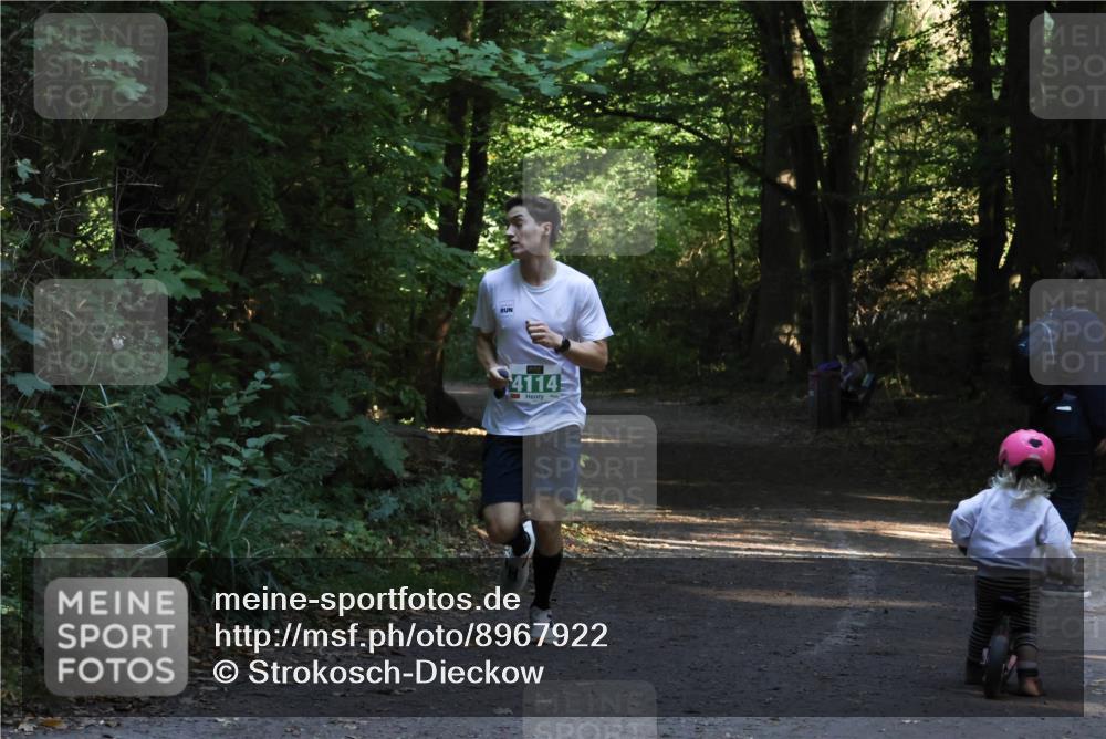 28.09.2025 - 33. Volkslauf durch das schöne Alstertal Strokosch-Dieckow http://msf.ph/oto/8967922 28.09.2025 10:48:48 Laufen 4114 meine-sportfotos.de