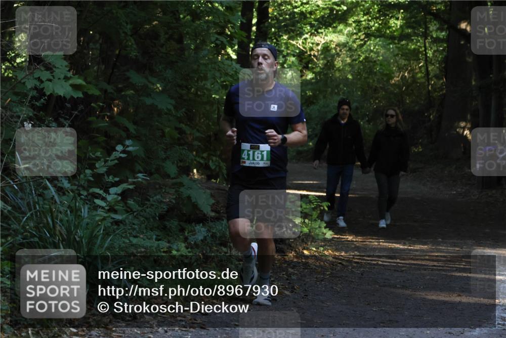 28.09.2025 - 33. Volkslauf durch das schöne Alstertal Strokosch-Dieckow http://msf.ph/oto/8967930 28.09.2025 10:49:01 Laufen 4161, 3 meine-sportfotos.de