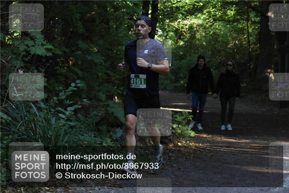 28.09.2025 - 33. Volkslauf durch das schöne Alstertal Strokosch-Dieckow http://msf.ph/oto/8967933 28.09.2025 10:49:02 Laufen 4161 meine-sportfotos.de