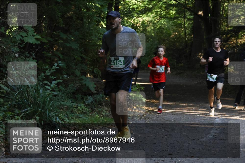28.09.2025 - 33. Volkslauf durch das schöne Alstertal Strokosch-Dieckow http://msf.ph/oto/8967946 28.09.2025 10:49:25 Laufen 4164, 021 meine-sportfotos.de