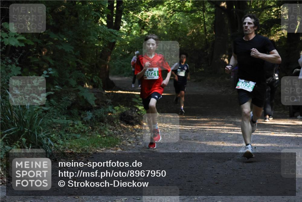 28.09.2025 - 33. Volkslauf durch das schöne Alstertal Strokosch-Dieckow http://msf.ph/oto/8967950 28.09.2025 10:49:26 Laufen 4021, 4022 meine-sportfotos.de