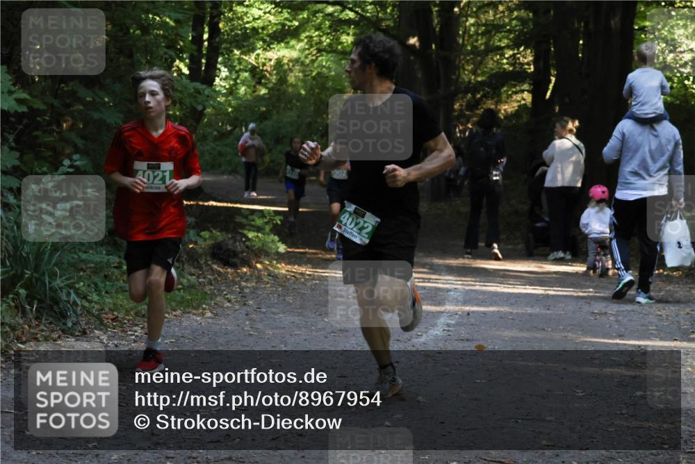 28.09.2025 - 33. Volkslauf durch das schöne Alstertal Strokosch-Dieckow http://msf.ph/oto/8967954 28.09.2025 10:49:27 Laufen 4021, 1902, 4022 meine-sportfotos.de
