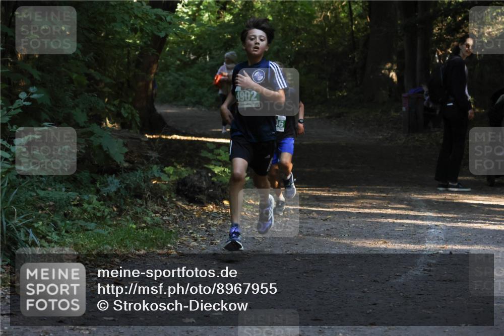 28.09.2025 - 33. Volkslauf durch das schöne Alstertal Strokosch-Dieckow http://msf.ph/oto/8967955 28.09.2025 10:49:29 Laufen 4902, 6 meine-sportfotos.de