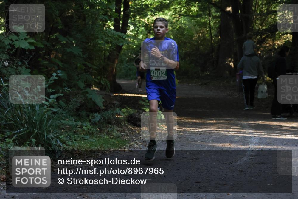 28.09.2025 - 33. Volkslauf durch das schöne Alstertal Strokosch-Dieckow http://msf.ph/oto/8967965 28.09.2025 10:49:40 Laufen 4002 meine-sportfotos.de