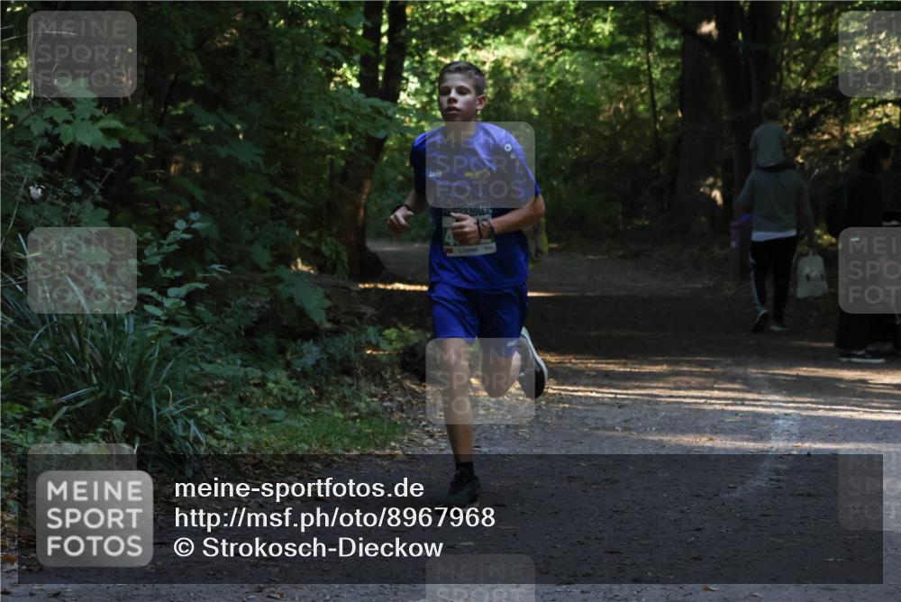 28.09.2025 - 33. Volkslauf durch das schöne Alstertal Strokosch-Dieckow http://msf.ph/oto/8967968 28.09.2025 10:49:40 Laufen  meine-sportfotos.de