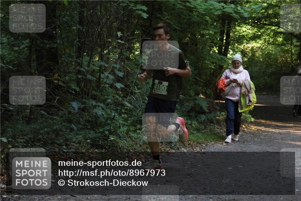 28.09.2025 - 33. Volkslauf durch das schöne Alstertal Strokosch-Dieckow http://msf.ph/oto/8967973 28.09.2025 10:49:49 Laufen 4100 meine-sportfotos.de