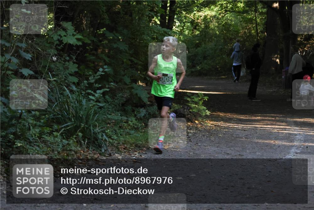 28.09.2025 - 33. Volkslauf durch das schöne Alstertal Strokosch-Dieckow http://msf.ph/oto/8967976 28.09.2025 10:50:01 Laufen 009 meine-sportfotos.de