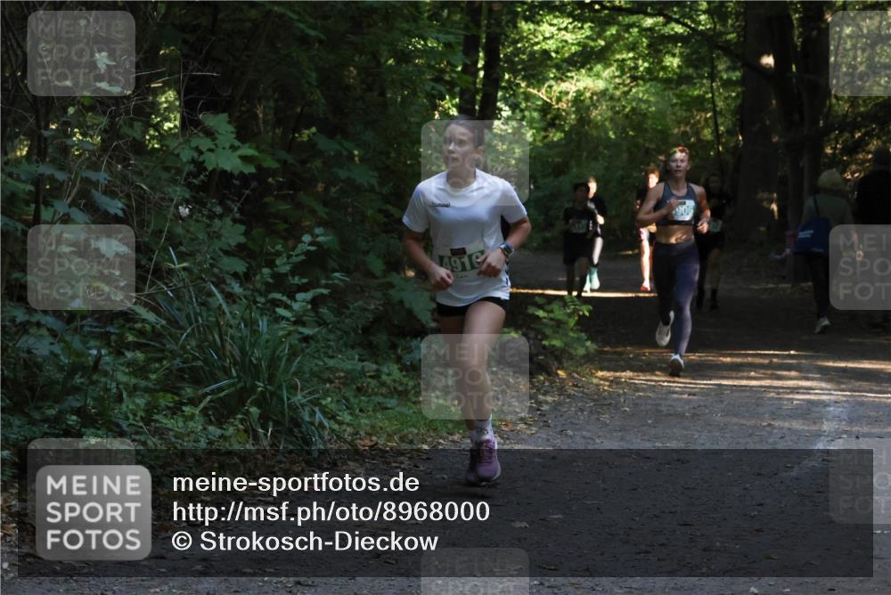 28.09.2025 - 33. Volkslauf durch das schöne Alstertal Strokosch-Dieckow http://msf.ph/oto/8968000 28.09.2025 10:51:02 Laufen 4910, 906 meine-sportfotos.de