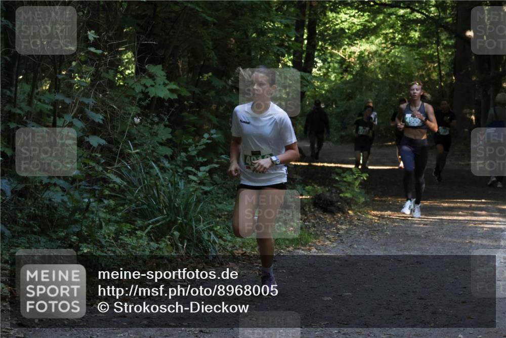 28.09.2025 - 33. Volkslauf durch das schöne Alstertal Strokosch-Dieckow http://msf.ph/oto/8968005 28.09.2025 10:51:03 Laufen 4906 meine-sportfotos.de