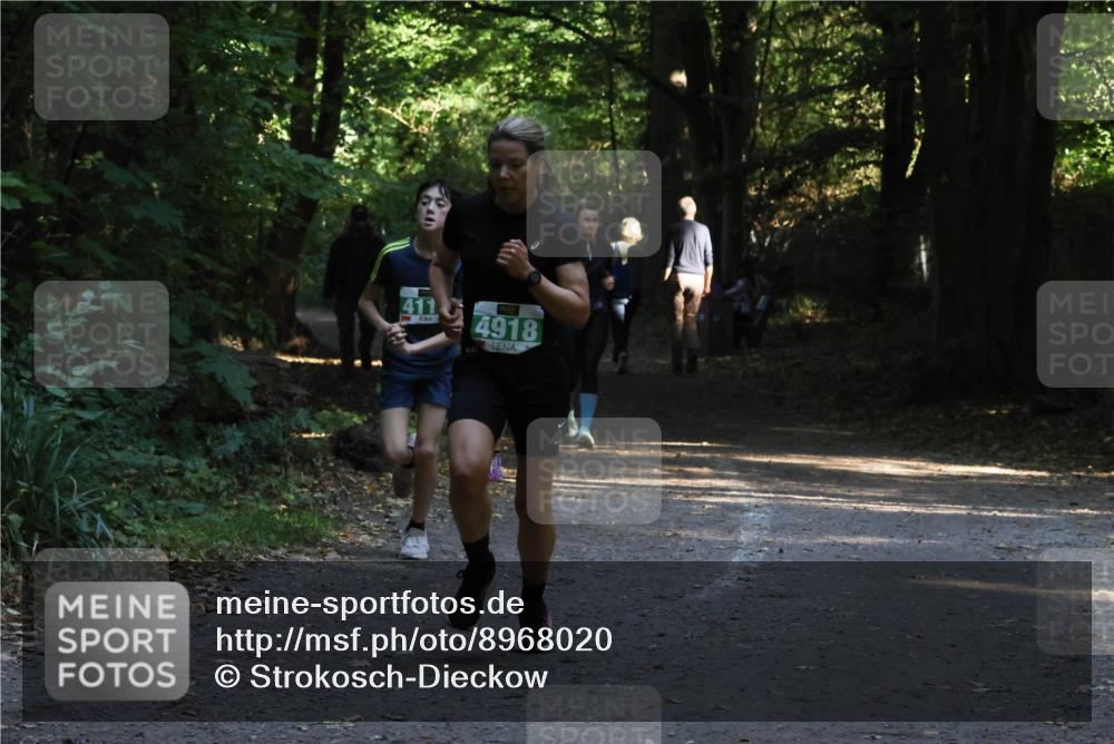 28.09.2025 - 33. Volkslauf durch das schöne Alstertal Strokosch-Dieckow http://msf.ph/oto/8968020 28.09.2025 10:51:08 Laufen 411, 4918 meine-sportfotos.de