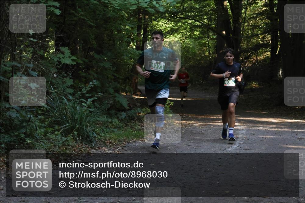 28.09.2025 - 33. Volkslauf durch das schöne Alstertal Strokosch-Dieckow http://msf.ph/oto/8968030 28.09.2025 10:51:35 Laufen 4173, 4007 meine-sportfotos.de