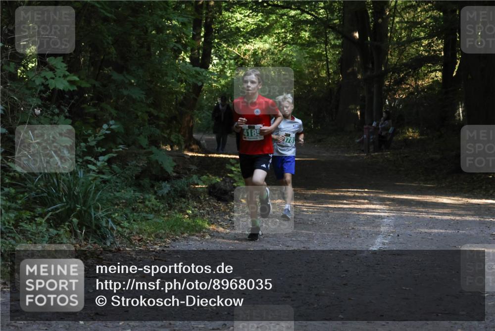 28.09.2025 - 33. Volkslauf durch das schöne Alstertal Strokosch-Dieckow http://msf.ph/oto/8968035 28.09.2025 10:51:39 Laufen 4185, 978 meine-sportfotos.de