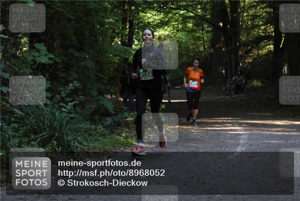 28.09.2025 - 33. Volkslauf durch das schöne Alstertal Strokosch-Dieckow http://msf.ph/oto/8968052 28.09.2025 10:51:51 Laufen 4124, 4184 meine-sportfotos.de