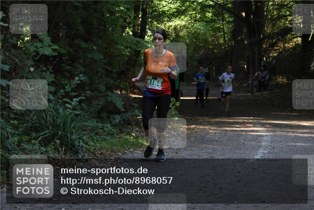 28.09.2025 - 33. Volkslauf durch das schöne Alstertal Strokosch-Dieckow http://msf.ph/oto/8968057 28.09.2025 10:51:54 Laufen 4184 meine-sportfotos.de