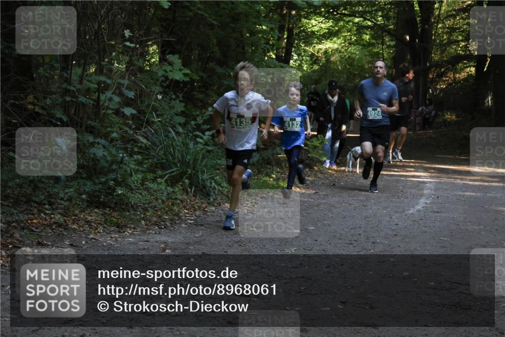 28.09.2025 - 33. Volkslauf durch das schöne Alstertal Strokosch-Dieckow http://msf.ph/oto/8968061 28.09.2025 10:51:59 Laufen 4135, 4132, 4924 meine-sportfotos.de