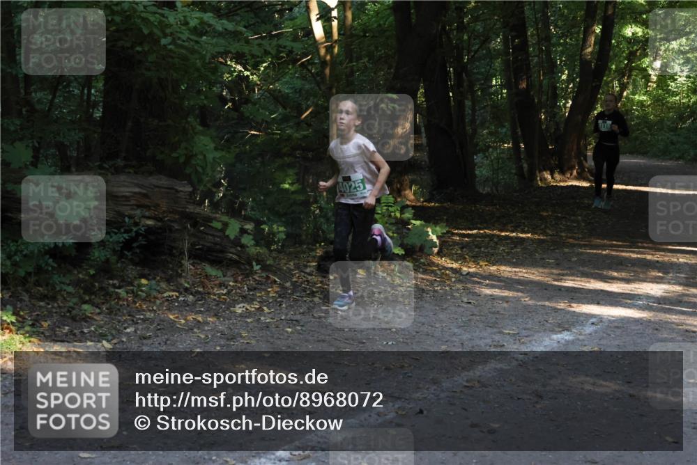 28.09.2025 - 33. Volkslauf durch das schöne Alstertal Strokosch-Dieckow http://msf.ph/oto/8968072 28.09.2025 10:52:32 Laufen 4025 meine-sportfotos.de