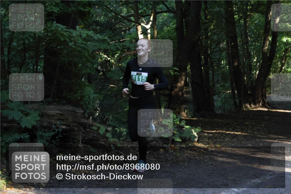 28.09.2025 - 33. Volkslauf durch das schöne Alstertal Strokosch-Dieckow http://msf.ph/oto/8968080 28.09.2025 10:52:35 Laufen 4115 meine-sportfotos.de