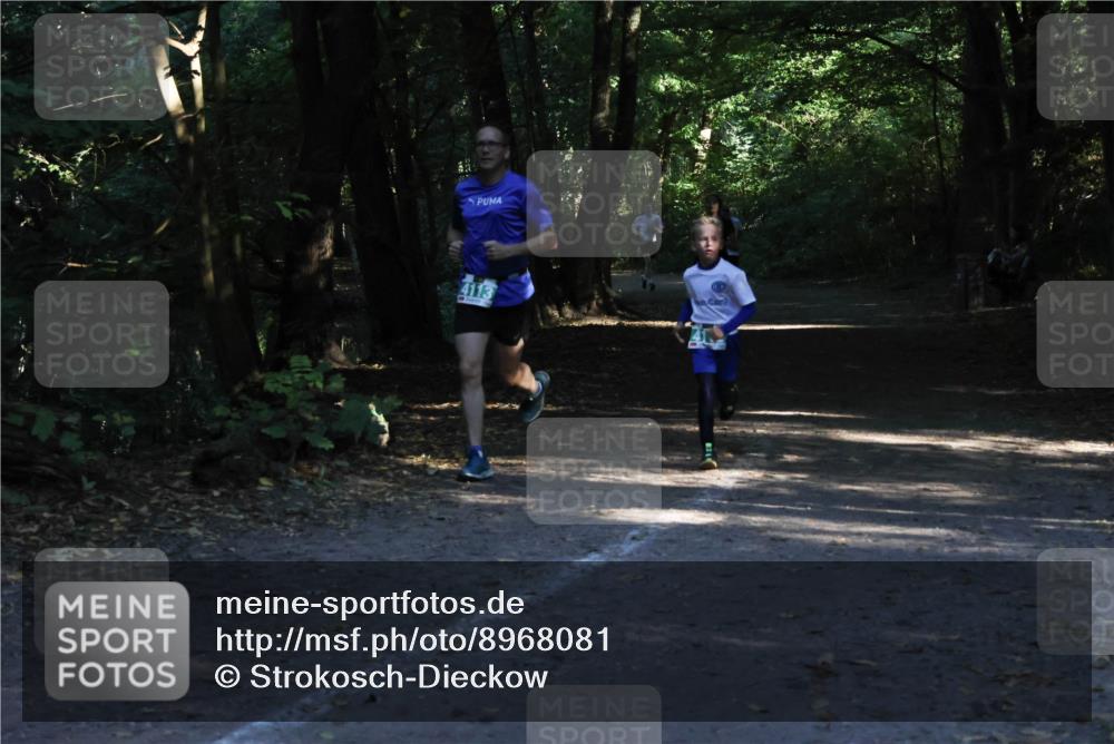 28.09.2025 - 33. Volkslauf durch das schöne Alstertal Strokosch-Dieckow http://msf.ph/oto/8968081 28.09.2025 10:52:53 Laufen 4113 meine-sportfotos.de