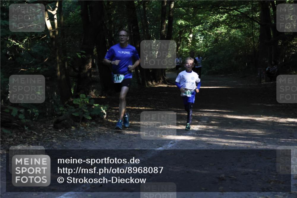 28.09.2025 - 33. Volkslauf durch das schöne Alstertal Strokosch-Dieckow http://msf.ph/oto/8968087 28.09.2025 10:52:54 Laufen 4113 meine-sportfotos.de