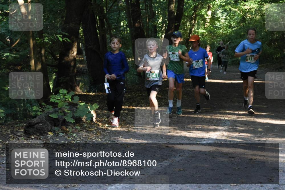28.09.2025 - 33. Volkslauf durch das schöne Alstertal Strokosch-Dieckow http://msf.ph/oto/8968100 28.09.2025 10:53:33 Laufen 4047, 4034, 4035, 418 meine-sportfotos.de