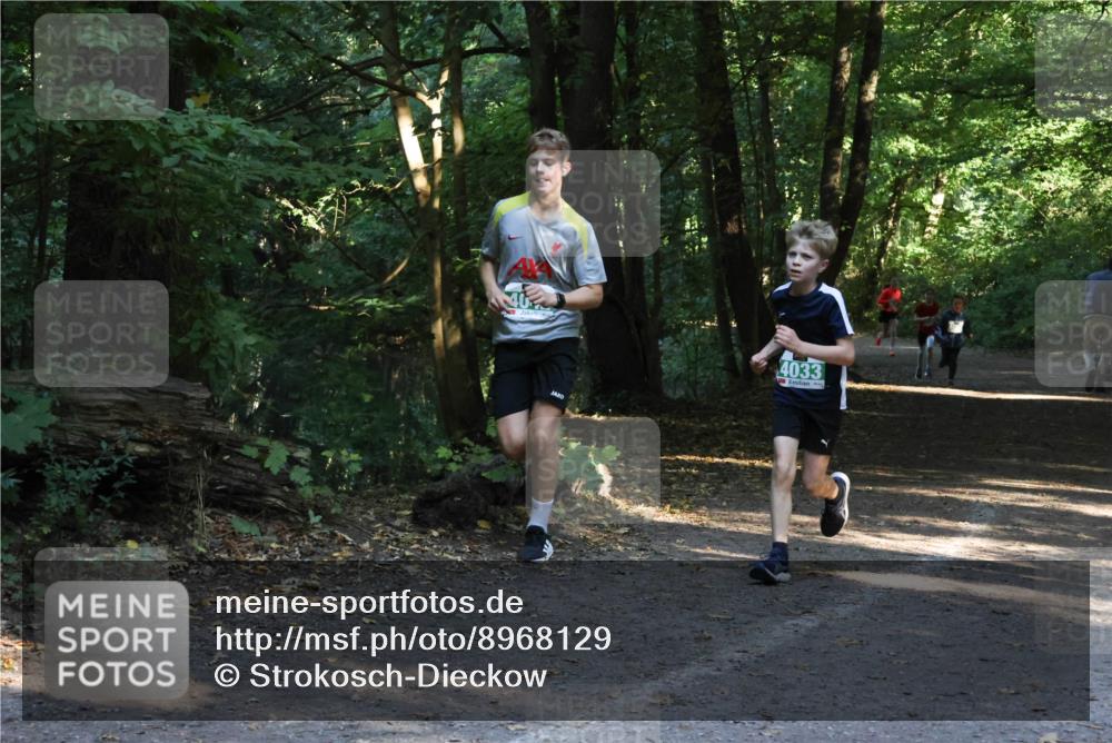 28.09.2025 - 33. Volkslauf durch das schöne Alstertal Strokosch-Dieckow http://msf.ph/oto/8968129 28.09.2025 10:53:54 Laufen 4033 meine-sportfotos.de