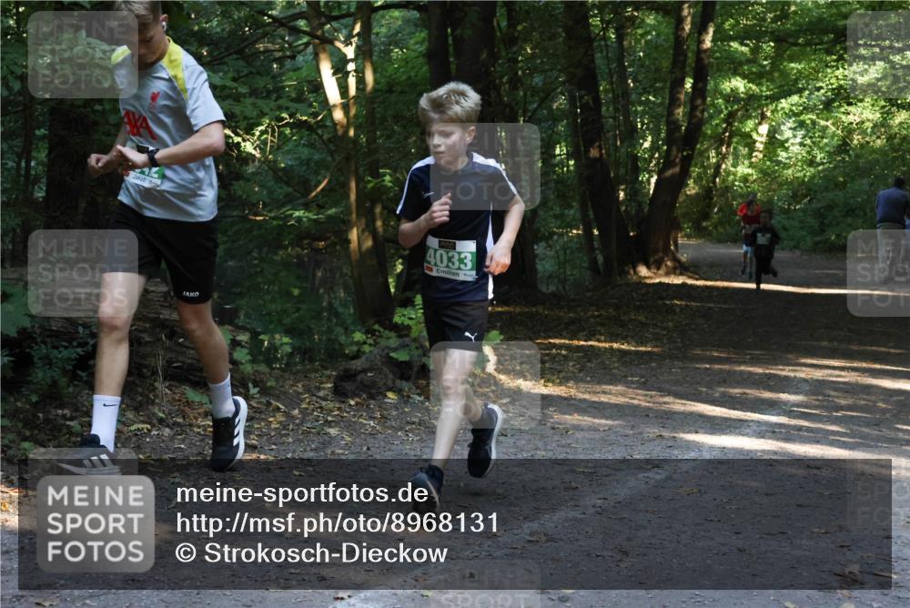 28.09.2025 - 33. Volkslauf durch das schöne Alstertal Strokosch-Dieckow http://msf.ph/oto/8968131 28.09.2025 10:53:55 Laufen 1, 4033 meine-sportfotos.de