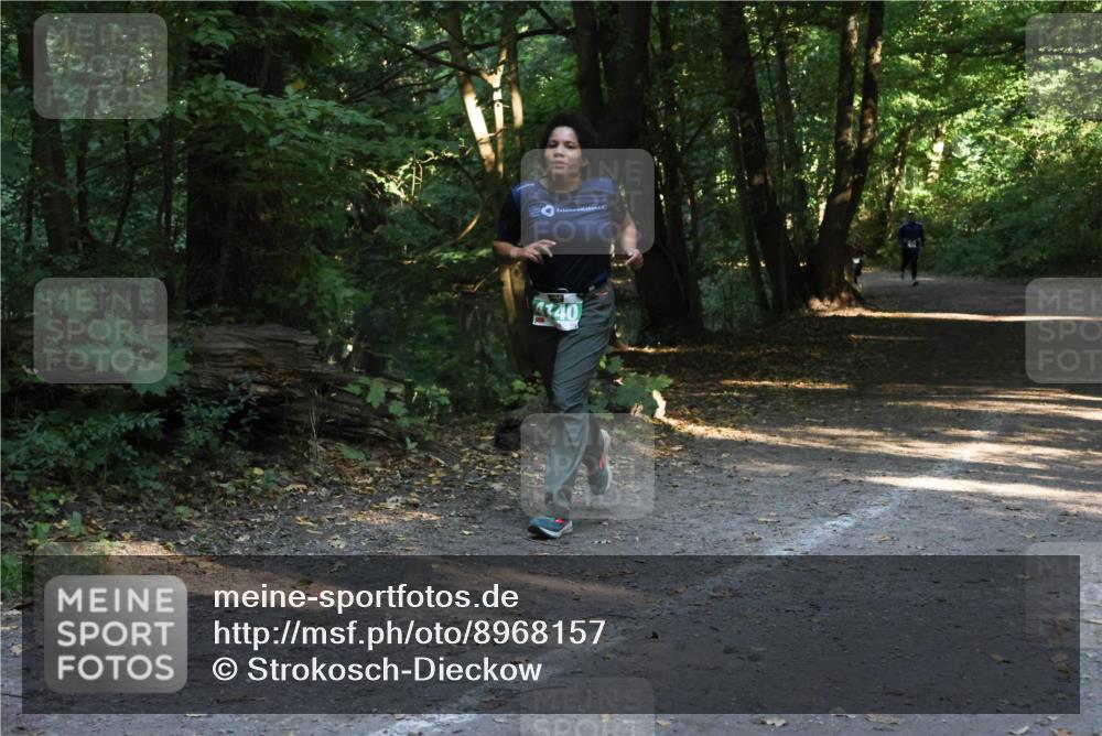 28.09.2025 - 33. Volkslauf durch das schöne Alstertal Strokosch-Dieckow http://msf.ph/oto/8968157 28.09.2025 10:54:23 Laufen 4140 meine-sportfotos.de