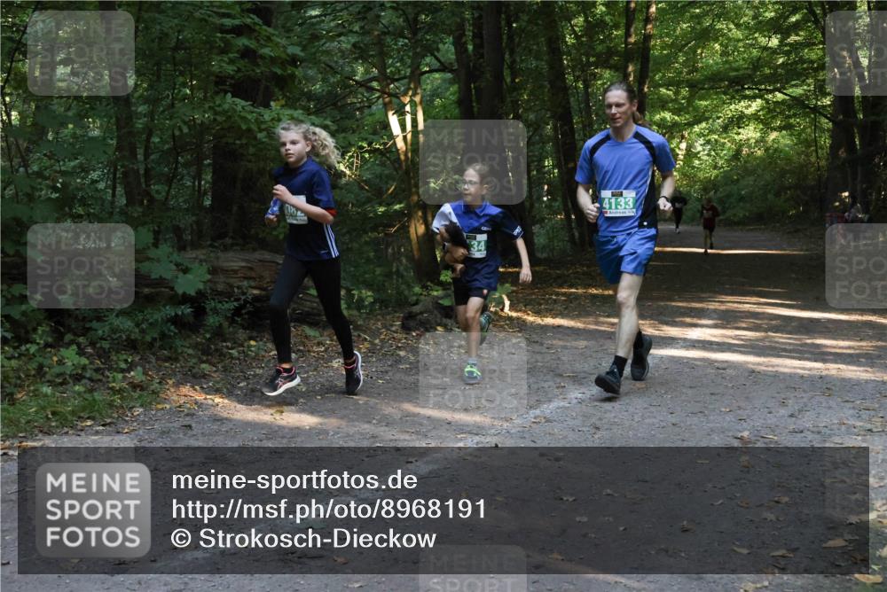28.09.2025 - 33. Volkslauf durch das schöne Alstertal Strokosch-Dieckow http://msf.ph/oto/8968191 28.09.2025 10:54:58 Laufen 34, 4133 meine-sportfotos.de