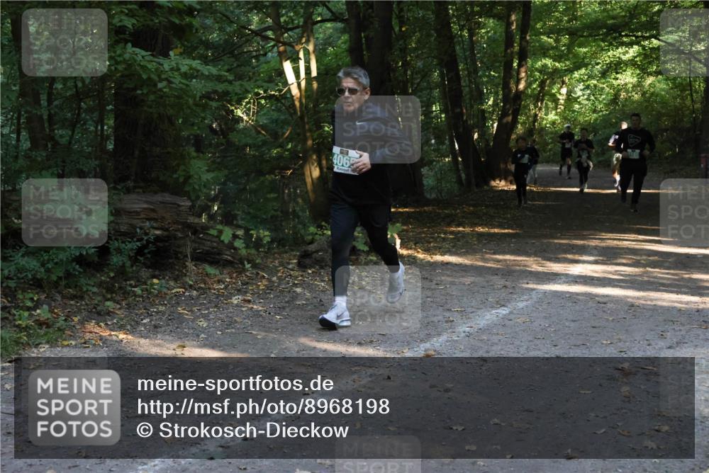 28.09.2025 - 33. Volkslauf durch das schöne Alstertal Strokosch-Dieckow http://msf.ph/oto/8968198 28.09.2025 10:55:10 Laufen 406 meine-sportfotos.de