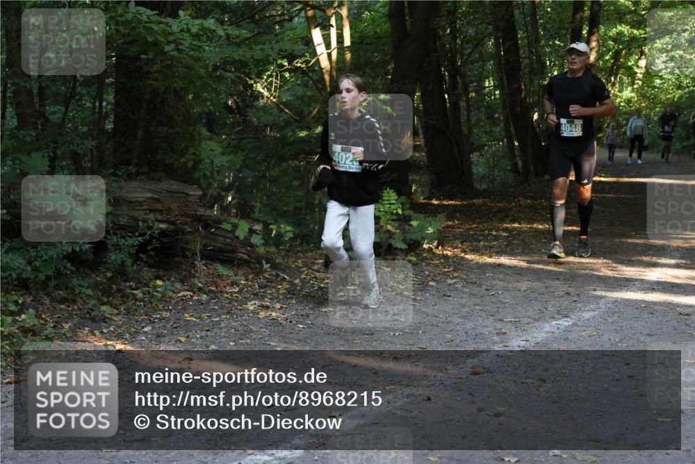 28.09.2025 - 33. Volkslauf durch das schöne Alstertal Strokosch-Dieckow http://msf.ph/oto/8968215 28.09.2025 10:55:19 Laufen 402, 4048 meine-sportfotos.de