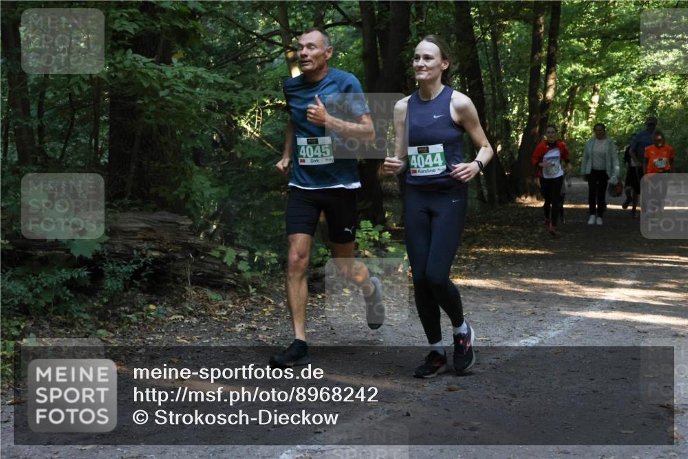 28.09.2025 - 33. Volkslauf durch das schöne Alstertal Strokosch-Dieckow http://msf.ph/oto/8968242 28.09.2025 10:55:32 Laufen 4045, 4044, 4032 meine-sportfotos.de