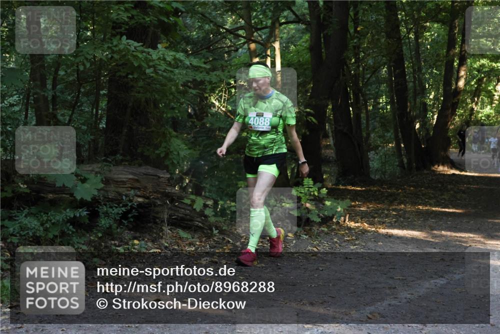 28.09.2025 - 33. Volkslauf durch das schöne Alstertal Strokosch-Dieckow http://msf.ph/oto/8968288 28.09.2025 10:55:59 Laufen 4088 meine-sportfotos.de