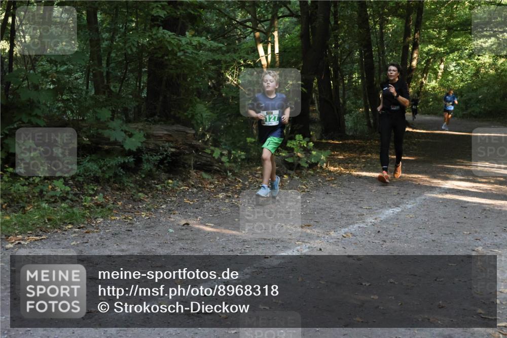 28.09.2025 - 33. Volkslauf durch das schöne Alstertal Strokosch-Dieckow http://msf.ph/oto/8968318 28.09.2025 10:56:13 Laufen 127 meine-sportfotos.de