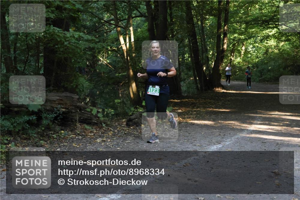 28.09.2025 - 33. Volkslauf durch das schöne Alstertal Strokosch-Dieckow http://msf.ph/oto/8968334 28.09.2025 10:56:27 Laufen 4123 meine-sportfotos.de