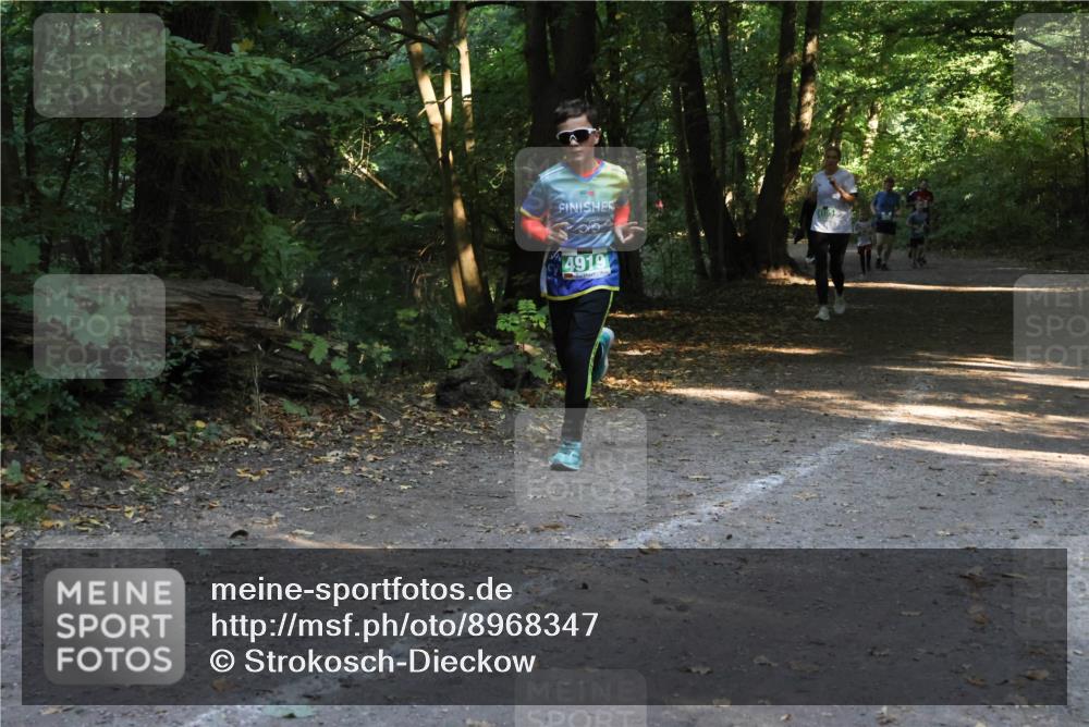 28.09.2025 - 33. Volkslauf durch das schöne Alstertal Strokosch-Dieckow http://msf.ph/oto/8968347 28.09.2025 10:56:36 Laufen 4919 meine-sportfotos.de