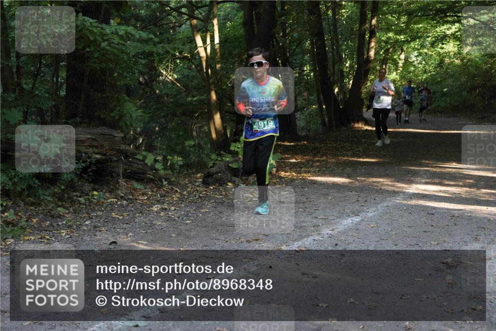 28.09.2025 - 33. Volkslauf durch das schöne Alstertal Strokosch-Dieckow http://msf.ph/oto/8968348 28.09.2025 10:56:37 Laufen 4919 meine-sportfotos.de