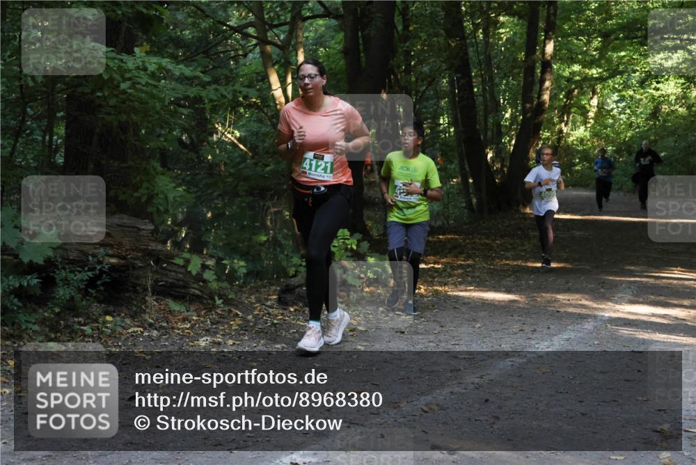 28.09.2025 - 33. Volkslauf durch das schöne Alstertal Strokosch-Dieckow http://msf.ph/oto/8968380 28.09.2025 10:57:16 Laufen 4121, 4095 meine-sportfotos.de