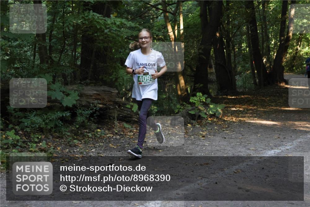28.09.2025 - 33. Volkslauf durch das schöne Alstertal Strokosch-Dieckow http://msf.ph/oto/8968390 28.09.2025 10:57:19 Laufen 4095 meine-sportfotos.de